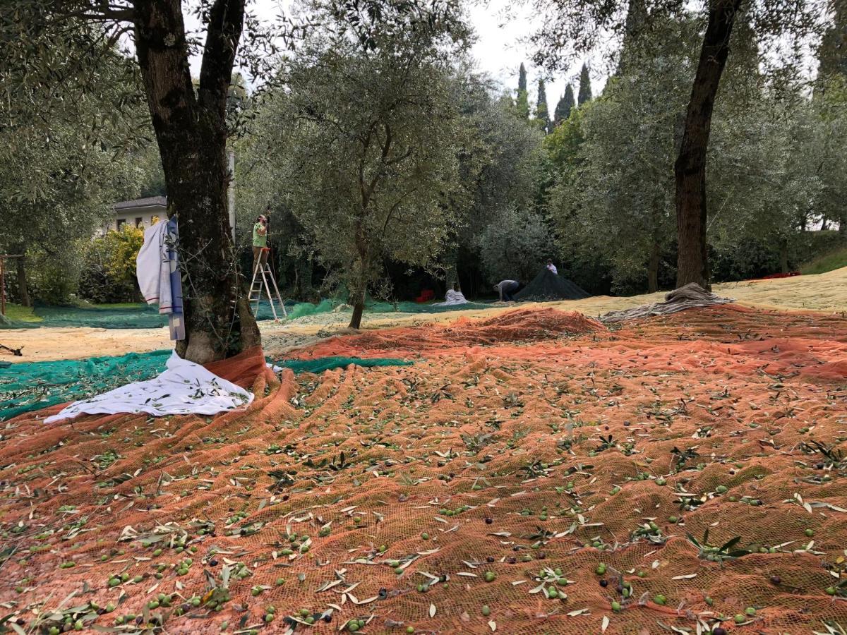 Hotel Zanetti Torri Del Benaco Dış mekan fotoğraf