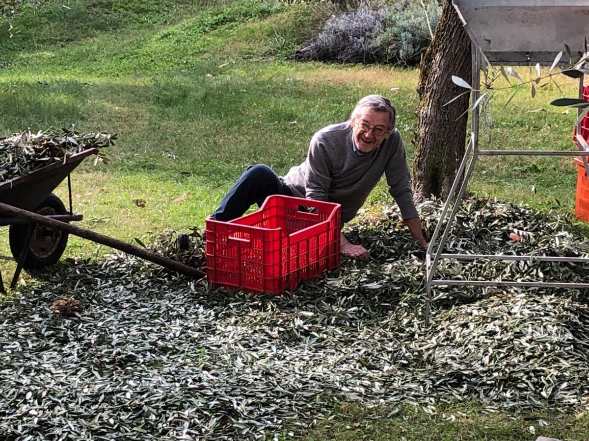 Hotel Zanetti Torri Del Benaco Dış mekan fotoğraf