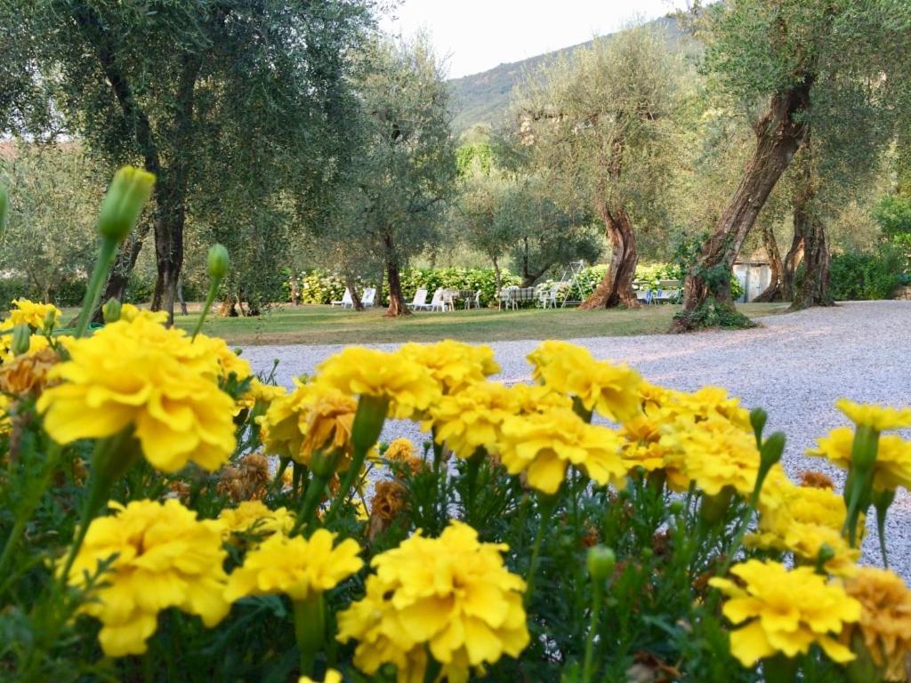 Hotel Zanetti Torri Del Benaco Dış mekan fotoğraf