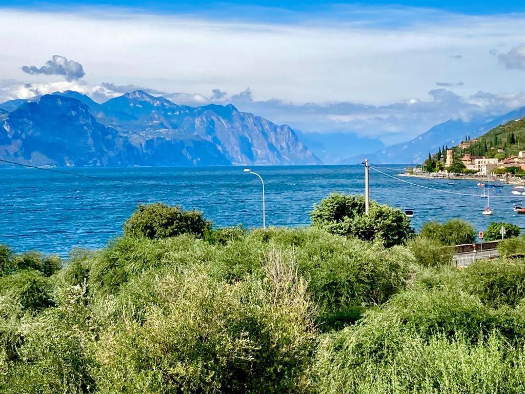 Hotel Zanetti Torri Del Benaco Dış mekan fotoğraf