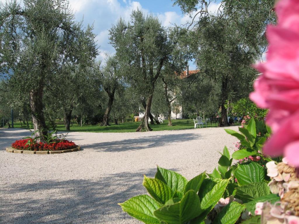 Hotel Zanetti Torri Del Benaco Dış mekan fotoğraf