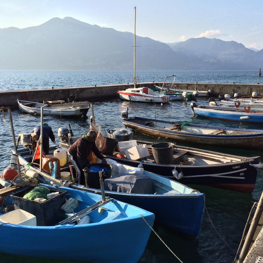 Hotel Zanetti Torri Del Benaco Dış mekan fotoğraf